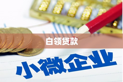 苓雅白领贷款