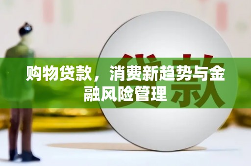 苓雅购物贷款，消费新趋势与金融风险管理