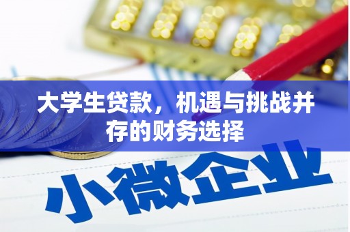 苓雅大学生贷款，机遇与挑战并存的财务选择