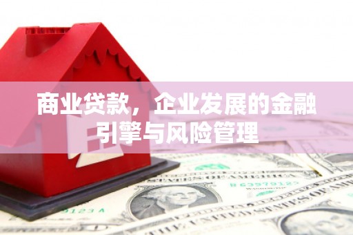 苓雅商业贷款，企业发展的金融引擎与风险管理