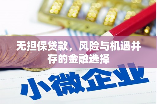 苓雅无担保贷款，风险与机遇并存的金融选择