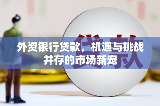 苓雅外资银行贷款，机遇与挑战并存的市场新宠