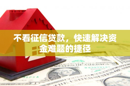 苓雅不看征信贷款，快速解决资金难题的捷径