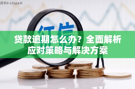苓雅贷款逾期怎么办？全面解析应对策略与解决方案