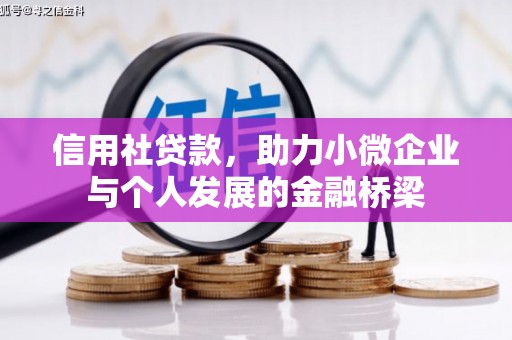 苓雅信用社贷款，助力小微企业与个人发展的金融桥梁