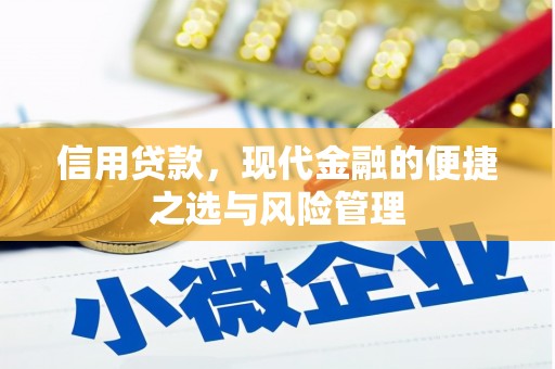 苓雅信用贷款，现代金融的便捷之选与风险管理