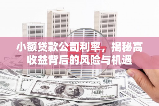 苓雅小额贷款公司利率，揭秘高收益背后的风险与机遇