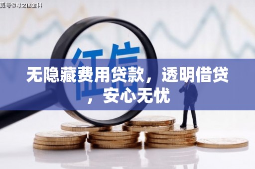 苓雅无隐藏费用贷款，透明借贷，安心无忧