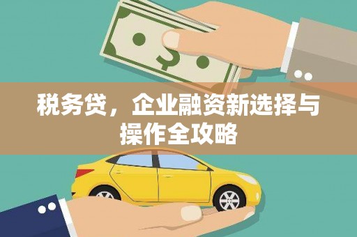 苓雅税务贷，企业融资新选择与操作全攻略