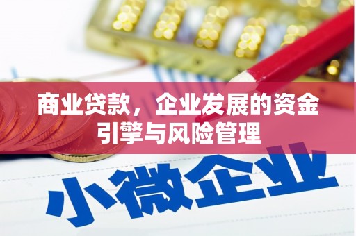 苓雅商业贷款，企业发展的资金引擎与风险管理