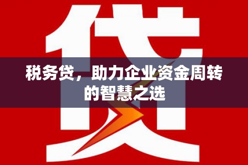 苓雅税务贷，助力企业资金周转的智慧之选