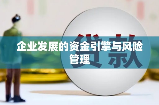 苓雅企业发展的资金引擎与风险管理