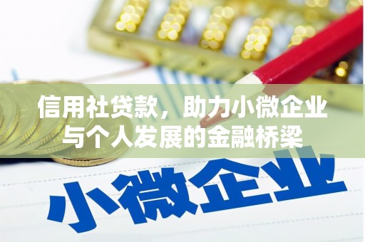苓雅信用社贷款，助力小微企业与个人发展的金融桥梁