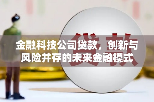 苓雅金融科技公司贷款，创新与风险并存的未来金融模式