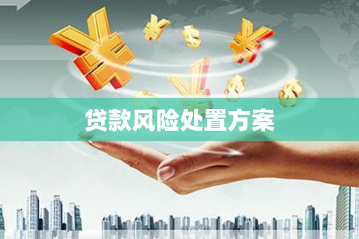 苓雅贷款风险处置方案