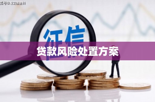 苓雅贷款风险处置方案