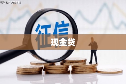 苓雅现金贷
