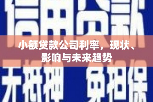 苓雅小额贷款公司利率，现状、影响与未来趋势