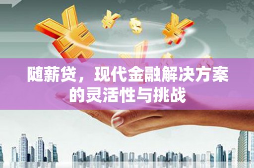 苓雅随薪贷，现代金融解决方案的灵活性与挑战