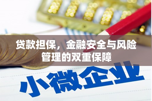 苓雅贷款担保，金融安全与风险管理的双重保障