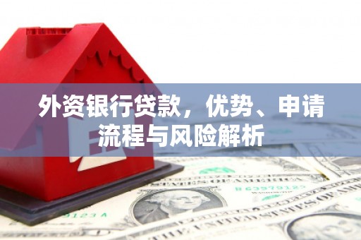 苓雅外资银行贷款，优势、申请流程与风险解析