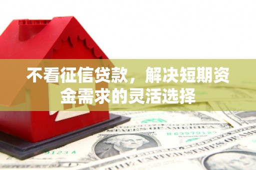 苓雅不看征信贷款，解决短期资金需求的灵活选择