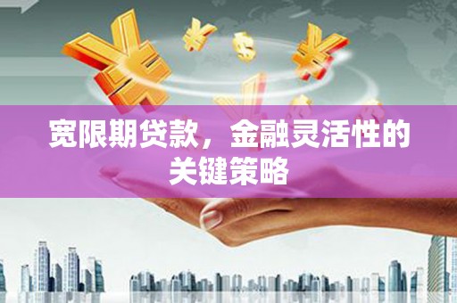 苓雅宽限期贷款，金融灵活性的关键策略