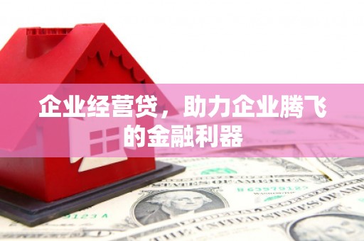 苓雅企业经营贷，助力企业腾飞的金融利器