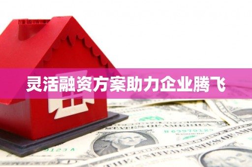 苓雅灵活融资方案助力企业腾飞
