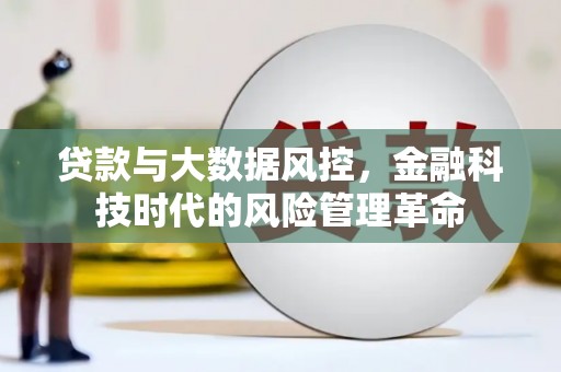 苓雅贷款与大数据风控，金融科技时代的风险管理革命