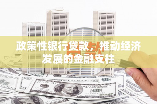 苓雅政策性银行贷款，推动经济发展的金融支柱