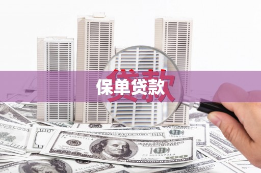 苓雅保单贷款