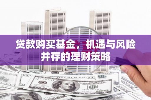 苓雅贷款购买基金，机遇与风险并存的理财策略