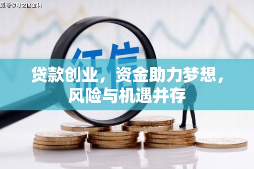 苓雅贷款创业，资金助力梦想，风险与机遇并存
