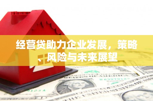 苓雅经营贷助力企业发展，策略、风险与未来展望