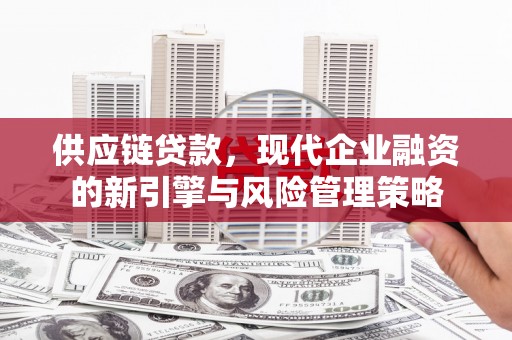 苓雅供应链贷款，现代企业融资的新引擎与风险管理策略