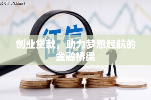 苓雅创业贷款，助力梦想起航的金融桥梁
