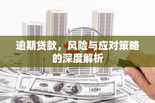 苓雅逾期贷款，风险与应对策略的深度解析