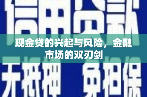 苓雅现金贷的兴起与风险，金融市场的双刃剑