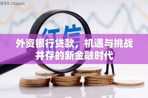 苓雅外资银行贷款，机遇与挑战并存的新金融时代