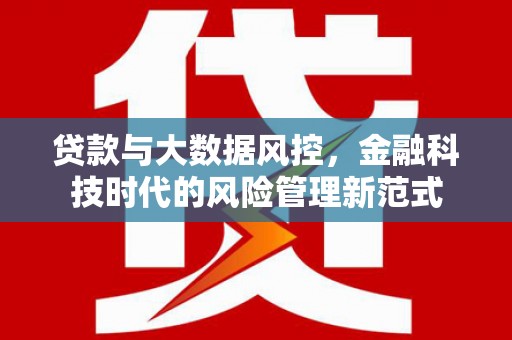苓雅贷款与大数据风控，金融科技时代的风险管理新范式
