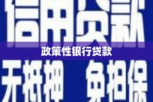 苓雅政策性银行贷款