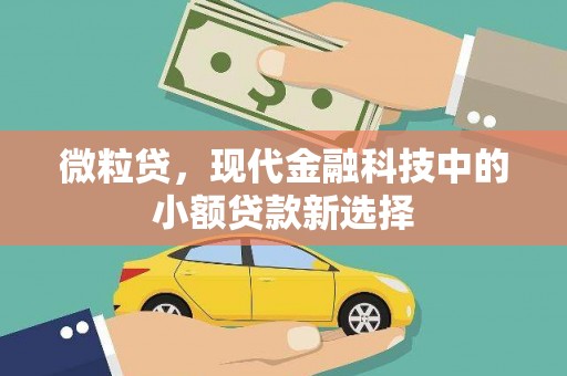 苓雅微粒贷，现代金融科技中的小额贷款新选择