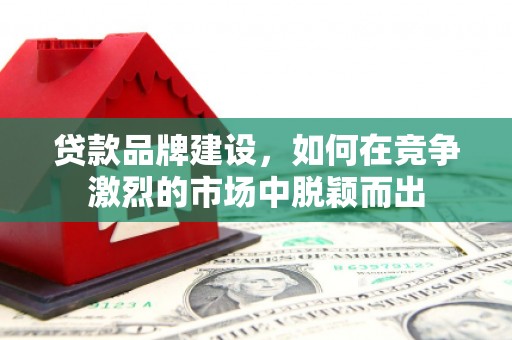苓雅贷款品牌建设，如何在竞争激烈的市场中脱颖而出