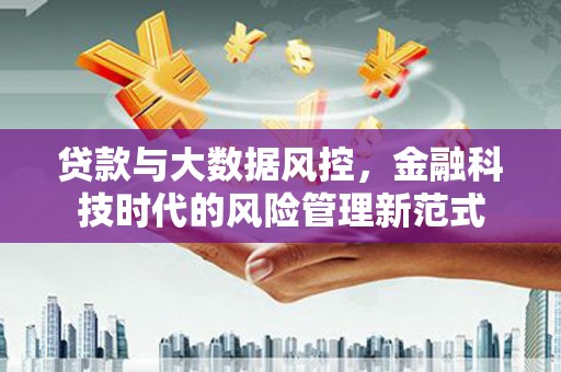 苓雅贷款与大数据风控，金融科技时代的风险管理新范式
