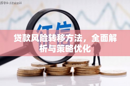 苓雅贷款风险转移方法，全面解析与策略优化