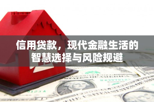 苓雅信用贷款，现代金融生活的智慧选择与风险规避