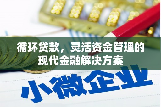 苓雅循环贷款，灵活资金管理的现代金融解决方案