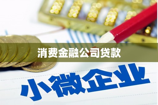 苓雅消费金融公司贷款