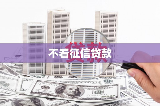 苓雅不看征信贷款